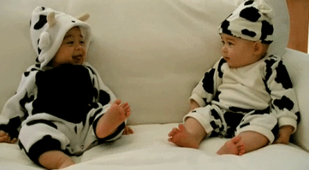 1595211763436.png 0e719543a0979524f32325a28bf0f49.png