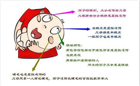 1595211895898.png 048a882a9d3329ac03a8cdfc5b85376.png