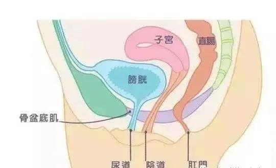 1597635987692.jpg 微信图片_20200817114530.jpg