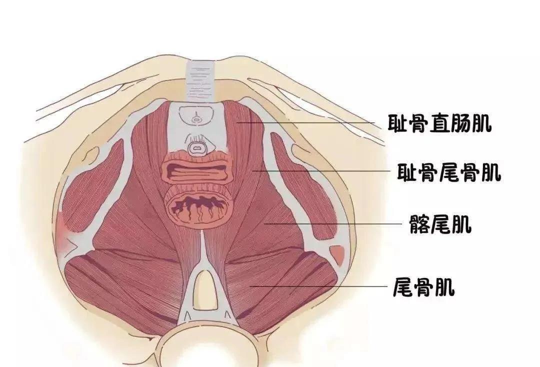 1597636000567.jpg 微信图片_20200817114535.jpg