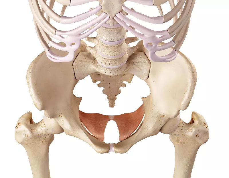 1597636037090.jpg 微信图片_20200817114539.jpg