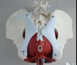 1597636072848.jpg 微信图片_20200817114541.jpg