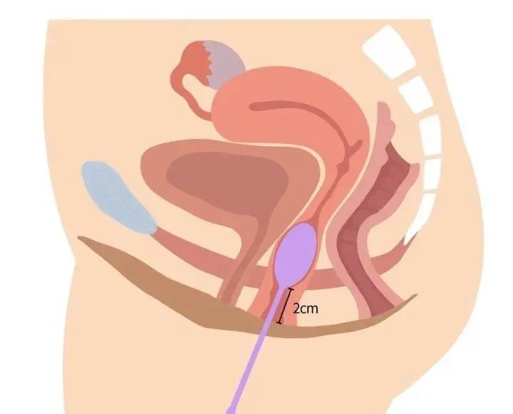 1597636261698.jpg 微信图片_20200817115011.jpg